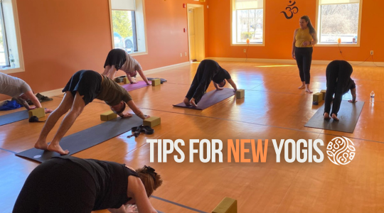 Read more about the article Tips for New Yogis